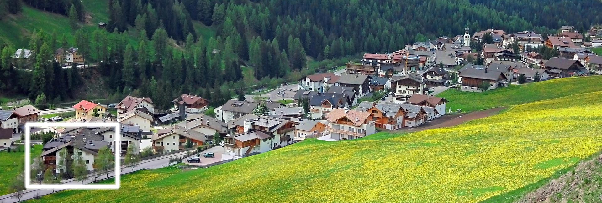 Appartementhaus "Ursus"